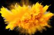 © lin - Explosion of yellow powder on a black background, abstract colorful powder explosion