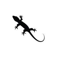 Lizard Logo Icon