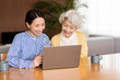 © lielos - リビングでノートパソコンの画面を見ている日本人女性２人