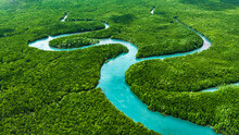 Aerial View Of Mangrove Forest Ecosystem At Phang Nga, Thailand