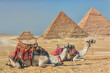 The Pyramids of Giza in Egypt