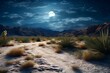beautiful view on the desert at night 