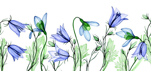 Wall Mural - watercolor drawing. seamless border, frame of transparent flowers snowdrop and bluebell. spring wildflowers, x-ray