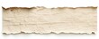 © LayerAce.com - Old white paper horizontal banner on white background Generative AI