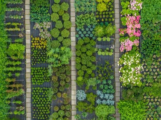 aerial view of garden with homegrown vegetables. concept of organic gardening at home.