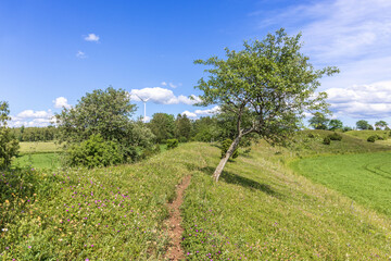 Sticker - Footpath on a flowering meadow on a hill