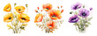 Watercolor Poppy Flowers. Generative AI