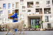Woman carrying cardboard boxes, walking with her dog to apartment at yard of new apartment building. Concept of relocating, new estate or delivery