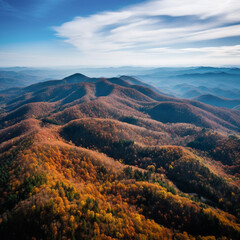 Wall Mural - autumn leaves season drone photo from DJI Mini Pro 3 , taken in North Georgia Appalachian mountains 