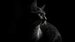 Black cat on black background. Generative AI
