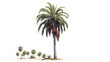 A vibrant palm tree watercolor illustration - Generative AI.
