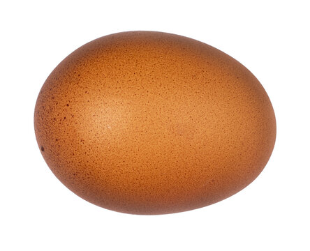 a brown egg, top view, isolated on a transparent background