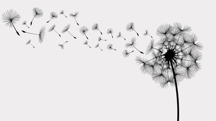 Wildflower dandelion in a vector style isolated. Vector flower for background, texture, wrapper pattern, frame or border.