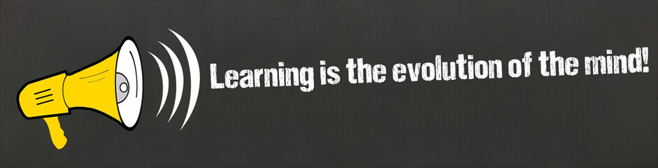 Sticker - Learning is the evolution of the mind!	