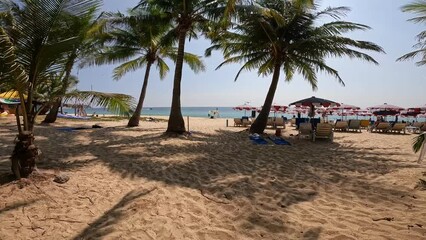 Wall Mural - Coconut trees and summer beach in Phuket