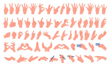Cartoon Hands Gestures. Human Hand Holding Things, Thumb Up, Ok And Peace Sign Flat Vector Illustration Set. Interactive Sign Language Collection