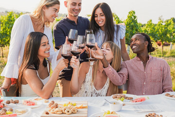 Group of young multiracial people cheering with red wine outdoor - Diverse friends having fun during pic nic with wineyard in the background during summer time