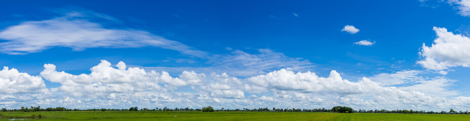 Wall Mural - Beautiful blue sky background, white clouds covering thinly spread the sky, sky with clouds in the rainy season over the field, Panorama photo.