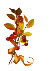 Wall Mural - autumn bouquet from twigs with ginger leaves, red berries and satin ribbon isolated on white or tran
