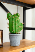 A Fake Green Cactus In A Flowerpot, Indoor Decoration