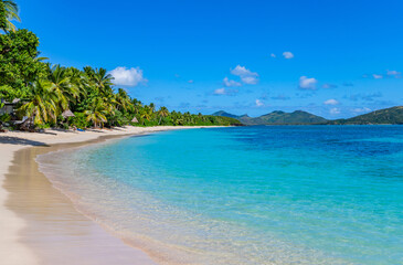 Palm trees and sea in Nacula Island