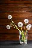 Fototapeta  - Glass with white dandelion flowers on dark table against wooden background