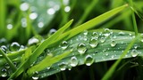Fototapeta Dziecięca - Fresh grass with dew drops Generative AI