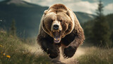 Fototapeta  - scary large bear running and chasing