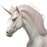 Fototapeta Konie - unicorn looking isolated on white