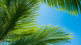 Fototapeta Na sufit -  Palmwedeln vor einem blauen Himmel, Generative AI