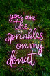 canvas print picture - pinker Schriftzug "you are the sprinkles on my donut" als Leuchtstoff-Lampe auf einem grünen Wand aus Blättern