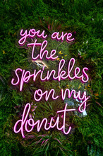 Pinker Schriftzug "you Are The Sprinkles On My Donut" Als Leuchtstoff-Lampe Auf Einem Grünen Wand Aus Blättern