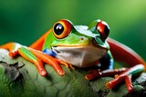 Fototapeta Zwierzęta - red eyed tree frog AI-Generated 