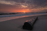 Fototapeta  - wschód słońca z dużym pniem na pierwszym planie