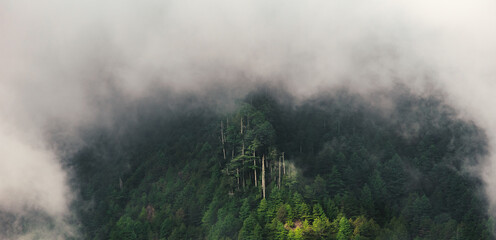 foggy mountain