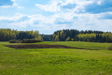 Wall Mural - blue cloudy sky, green fields and trees of different shades in spring