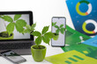 Mała roślina w doniczce obok komputera i smartfonów z rośliną na ekranie wśród zielonych i niebieskich plansz z wykresami.