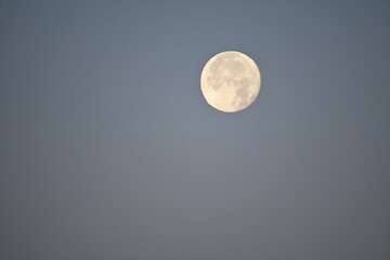 full moon in the sky