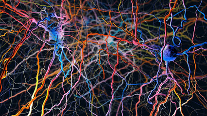 Wall Mural - Neurons or nerve cells connected in neuronal network- 3d illustration