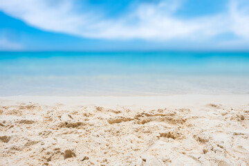 Canvas Print - l sand beach and tropical sea