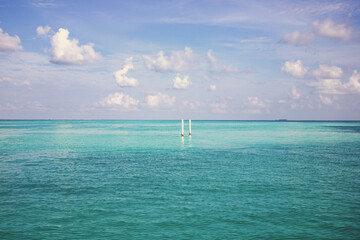 Wall Mural - background of turquoise sea and blue sky