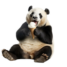 A Hungry Giant Panda Bear Eating A Vanilla Ice Cream Cone, Fun-themed, Photorealistic Illustration In A PNG, Cutout, And Isolated. Generative AI