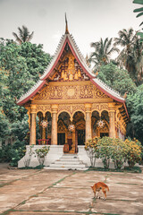 Luang Prabang, Laos. 