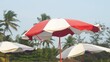 Resort beach red sunshade against of palm trees