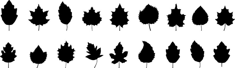 Fototapete - Set of black autumn leaves.Black leaf icons collection.  Maple leaf.Black siihouette leaf icons collection.