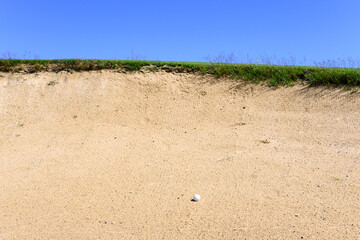 Wall Mural - Golf ball in a sand trap, looking up at the top of the bunker and blue sky, recreation and challenge on a sunny summer day
