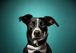 © Nedrofly - Illustration of a stylish black and white dog wearing a bow tie created with Generative AI technology