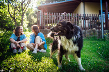 A Big Joyful Shaggy Dog Against The Background Of His Two Mistresses In The Garden Of His House In The Rays Of The Sun