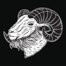 Dark Art Goat Head Horns Sheep Satanic Black White For Tattoo And Clothing Illustration