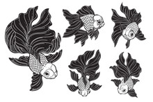 Set Bundle Hand Drawn Gold Fish Aquatic Black White Vintage Dark Art For Tattoo And Clothing Illustration